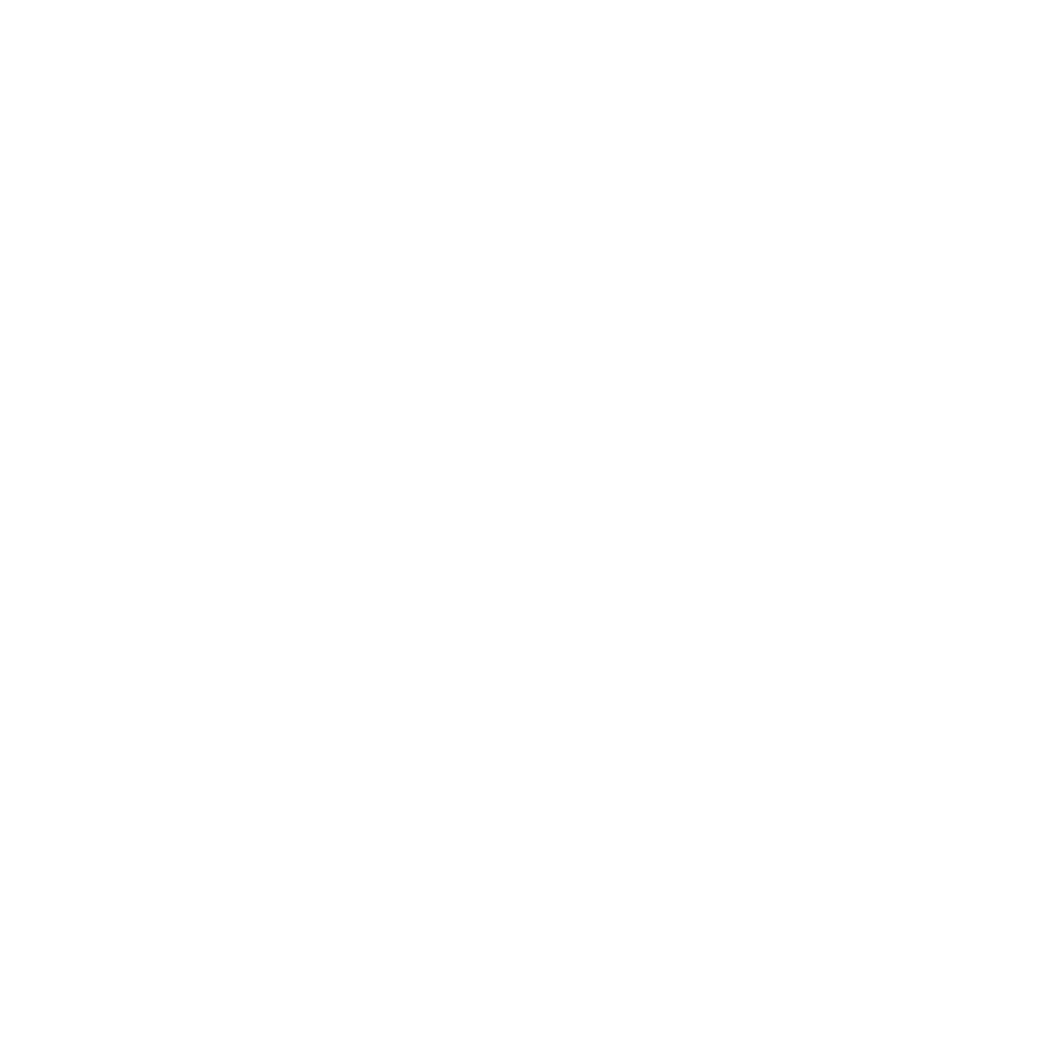 Rustiverse logo